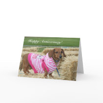 Happy Anniversary Dachshund greeting card
