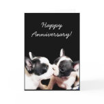 Happy Anniversary French bulldog greeting card