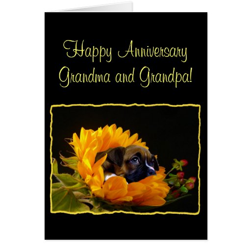 Happy Anniversary Grandma And Grandpa Boxer Card Zazzle Happy Anniversary Grandma And Grandpa Boxer Card Zazzle