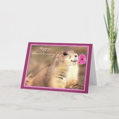 http://rlv.zcache.com/happy_anniversary_prairie_dog_greeting_card-p137284740267166226envwi_400.jpg