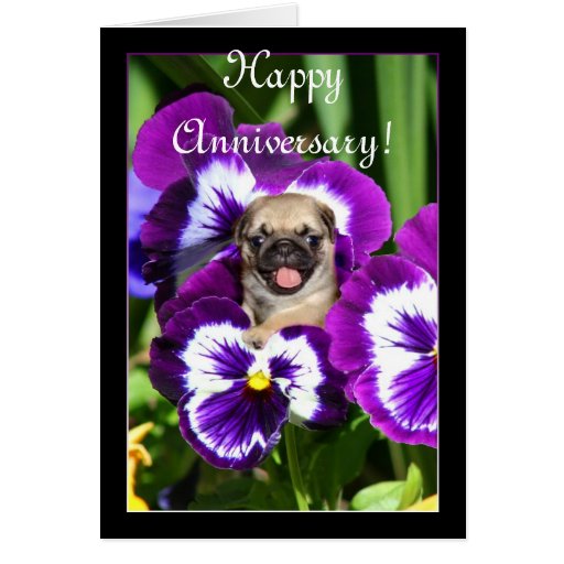 pug anniversary card happy anniversary pug in pansies card zazzle pug anniversary card happy anniversary pug in pansies card zazzle