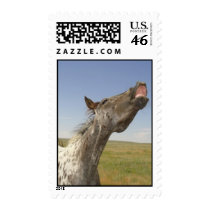 Happy Appy Postage Stamps
