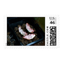 Happy Bacon Stamp by bacon_day Happy Bacon Stamp