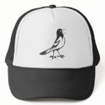 Happy Baltimore Oriole Bird in Black and White Hats