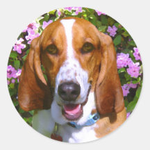 Happy Basset Hound Sticker