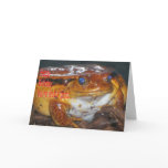 frog, makara, ugly, nasty, slimmy, toad, wildlife,