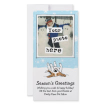 Happy Beagle in the Snow photo cards by jennsdoodleworld Happy Beagle in the Snow photo cards