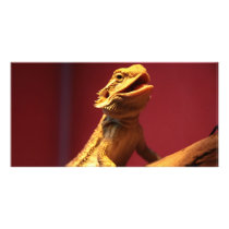 Happy Bearded Dragon Photo Greeting Card