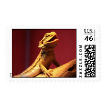Happy Bearded Dragon Stamp
