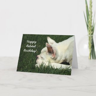 Happy Belated Birthday Boxer greeting card card