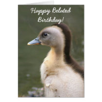 Happy Belated Birthday Duckling greeting card