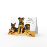 Happy Belated Birthday Shepherd puppies card