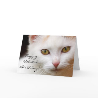 Happy Belated Birthday White cat greeting card