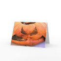 Happy Belated Halloween cards by captphrank Happy Belated Halloween cards