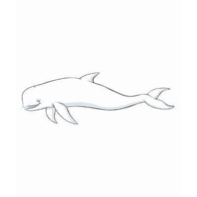 beluga whale habitat map. eluga whale cartoon.