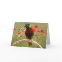 Happy Birdday! cards by KiraDott Happy Birdday! cards