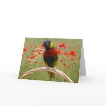 Happy Birdday! cards