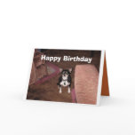 Happy Birhday! cards