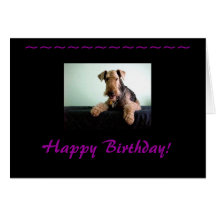 Happy Birthday Airedale Terrier Greeting Cards