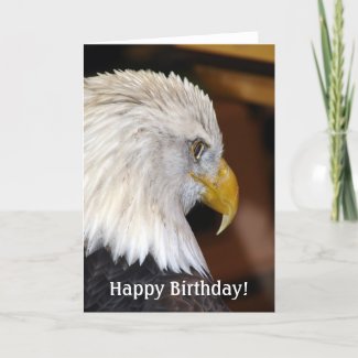 Happy Birthday! American Bald Eagle card