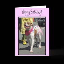 happy_birthday_american_bulldog_greeting_card-p137960846304540032qjue_210.jpg