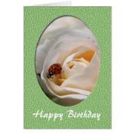 Happy birthday. Beautiful white rose flower Greeting Cards