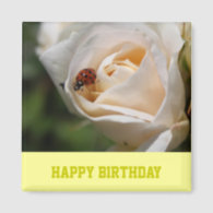 Happy birthday. Beautiful white rose flower Fridge Magnet