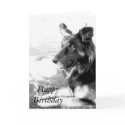 Happy Birthday Belgian Shepherd Dog Card