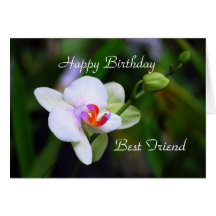 Happy Birthday Best Friend Phalaenopsis Orchid Car Card