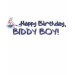 Ladies Baby Doll (Fitted)