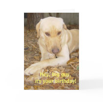 Happy Birthday Big Guy cards by myrtieshuman Happy Birthday Big Guy cards