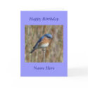 Happy Birthday Blue Bird cards