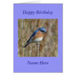 Happy Birthday Blue Bird Greeting Card