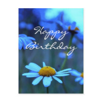 Happy Birthday (Blue Marguerites) postcards