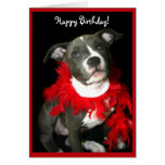 Happy Birthday Blue Pitbull Puppy greeting card