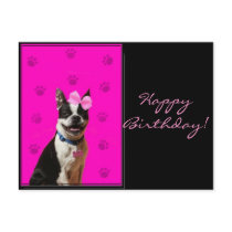 Happy Birthday Boston Terrier Postcard
