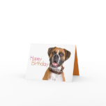 Animal Birthday Cards