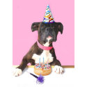 Happy Birthday Boxer dog greeting card card