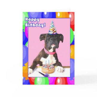 Happy Birthday Boxer dog greeting card card