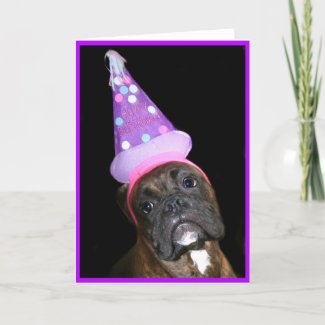 Happy Birthday Boxer Dog greeting card card