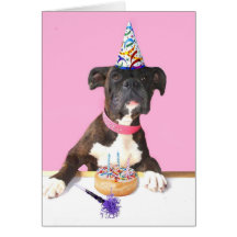 Happy Birthday Boxer dog greeting card