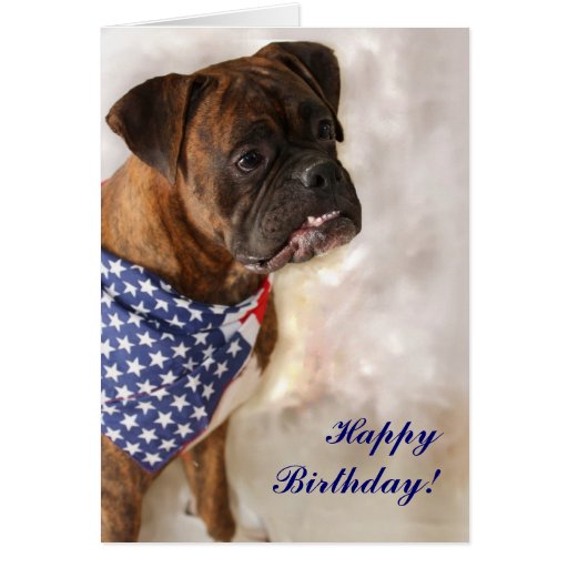 Happy Birthday Boxer dog greeting card Zazzle