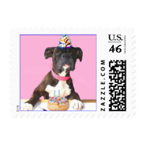 Happy Birthday Boxer dog Postage