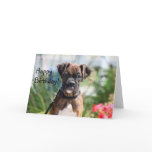 Happy Birthday Boxer Greeting card