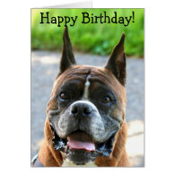 Happy Birthday Boxer greeting card