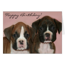 Happy Birthday Boxer Puppies greeting card