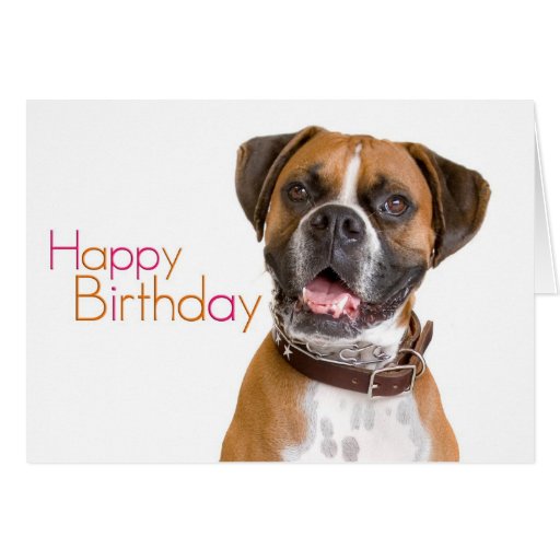 Happy Birthday Boxer Stationery Note Card Zazzle