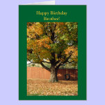 Happy Birthday Brother!  Old tire swing. cards