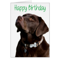 Happy Birthday Brown Labrador Retriever Puppy Card