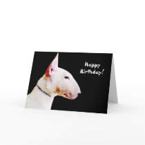 Happy Birthday Bull Terrier greeting card